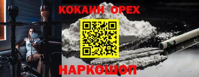 крисы Аргун