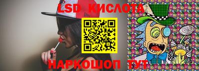 крисы Аргун