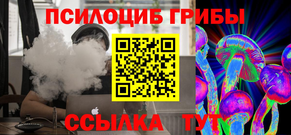 Дятьково  Псилоцибиновые грибы прущие грибы  Галлюциногенные грибы MAGIC MUSHROOMS  Вход с VPN 