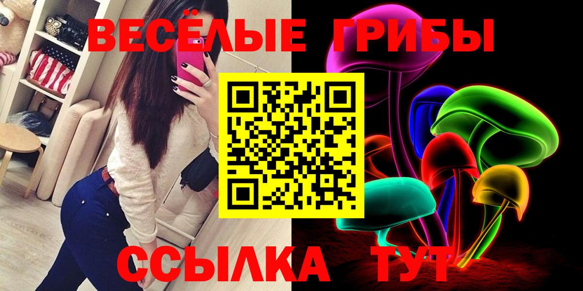 Галлюциногенные грибы Psilocybe Дятьково